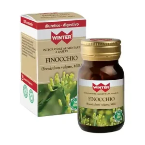 Finocchio