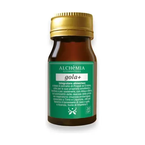 Gola+ – Image 2
