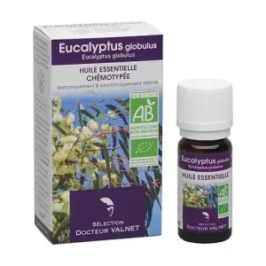 Olio essenziale di eucalipto globulo biologico
