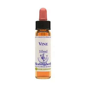 Vine